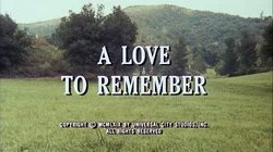A Love to Remember