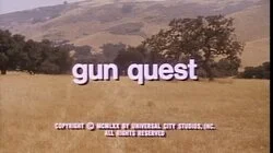 Gun Quest