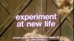 Experiment at New Life