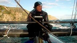 New Zealand Yacht Race