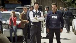 The Wheels on the Bus…