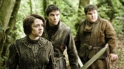 Dark Wings, Dark Words