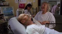 The Peace of Wild Things