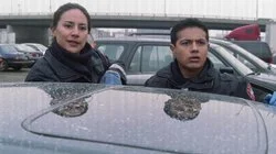 A Boy Falling Out of the Sky