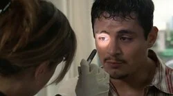 In a Different Light