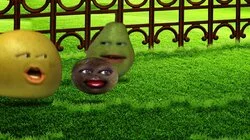 Follow the Bouncing Orange