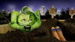 Everybody Loves Cabbage