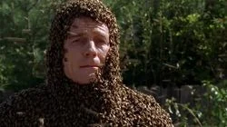 The Bots and the Bees