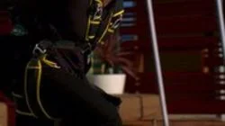 Wolfe in Sheep's Clothing (2)