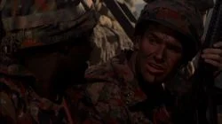 Strangers and Comrades