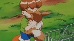 The Battling Eevee Brothers