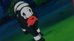 Hour of the Houndour