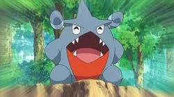 A Rivalry to Gible On!