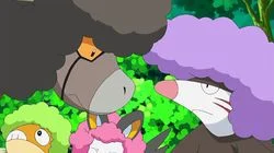 Baffling the Bouffalant!