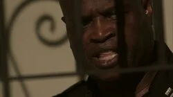 Hiding in the Shadows