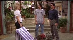 Joey and the Perfect Storm