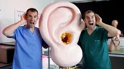 What Is Earwax Made Of?