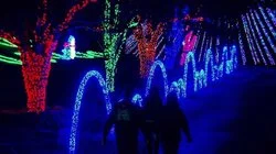 A Christmas Shake Up