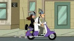 Vanessassary Roughness