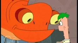 The Lizard Whisperer