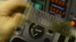 Flowers of the Mountain