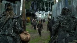 Terms and Conditions