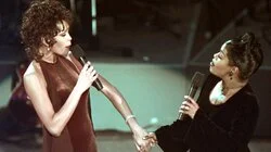 The 38th Annual Grammy Awards