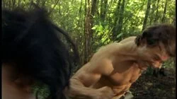 The Children of the LaMistas