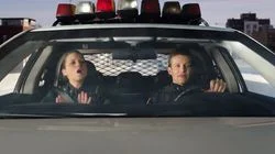 Down the Rabbit Hole