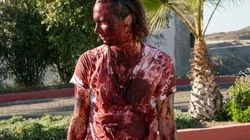 Blood in the Streets