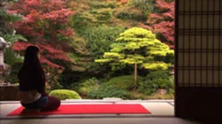 All About Matcha Green Tea: Matsue