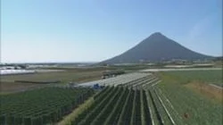 Spring Colors of Ibusuki