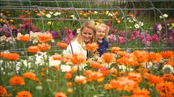 Seaside Trip with Children: Minami-Boso