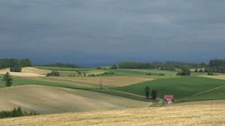 Biei, Hokkaido: Layers of Beauty in the Patchwork Hills