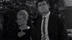 Stopover in a Quiet Town