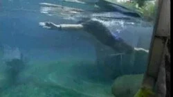 Why Did You Have to Take Your Pants Off?! - Part 2