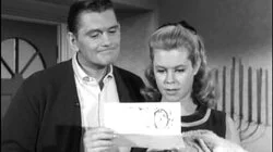 A Vision of Sugar Plums