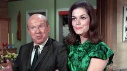 Nobody But a Frog Knows How to Live