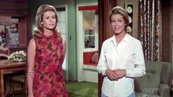 That Was No Chick, That Was My Wife