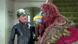 Allergic to Macedonian Dodo Birds