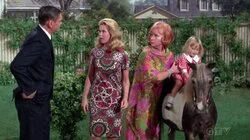 Solid Gold Mother-in-Law