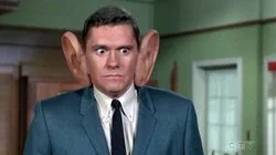 My, What Big Ears You Have