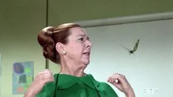 I Don't Want to Be a Toad, I Want to Be a Butterfly