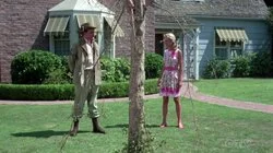 Weep No More My Willow