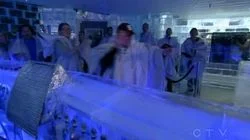 Counting Bears is Not Rocket Science