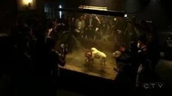 Lying Down with Dogs