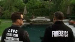 Hitting for the Cycle