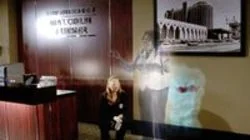 Ms. Willows Regrets…