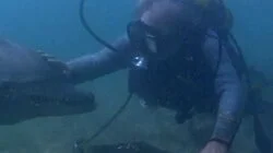 Splashdown