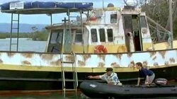 Big Fish, Little Fish